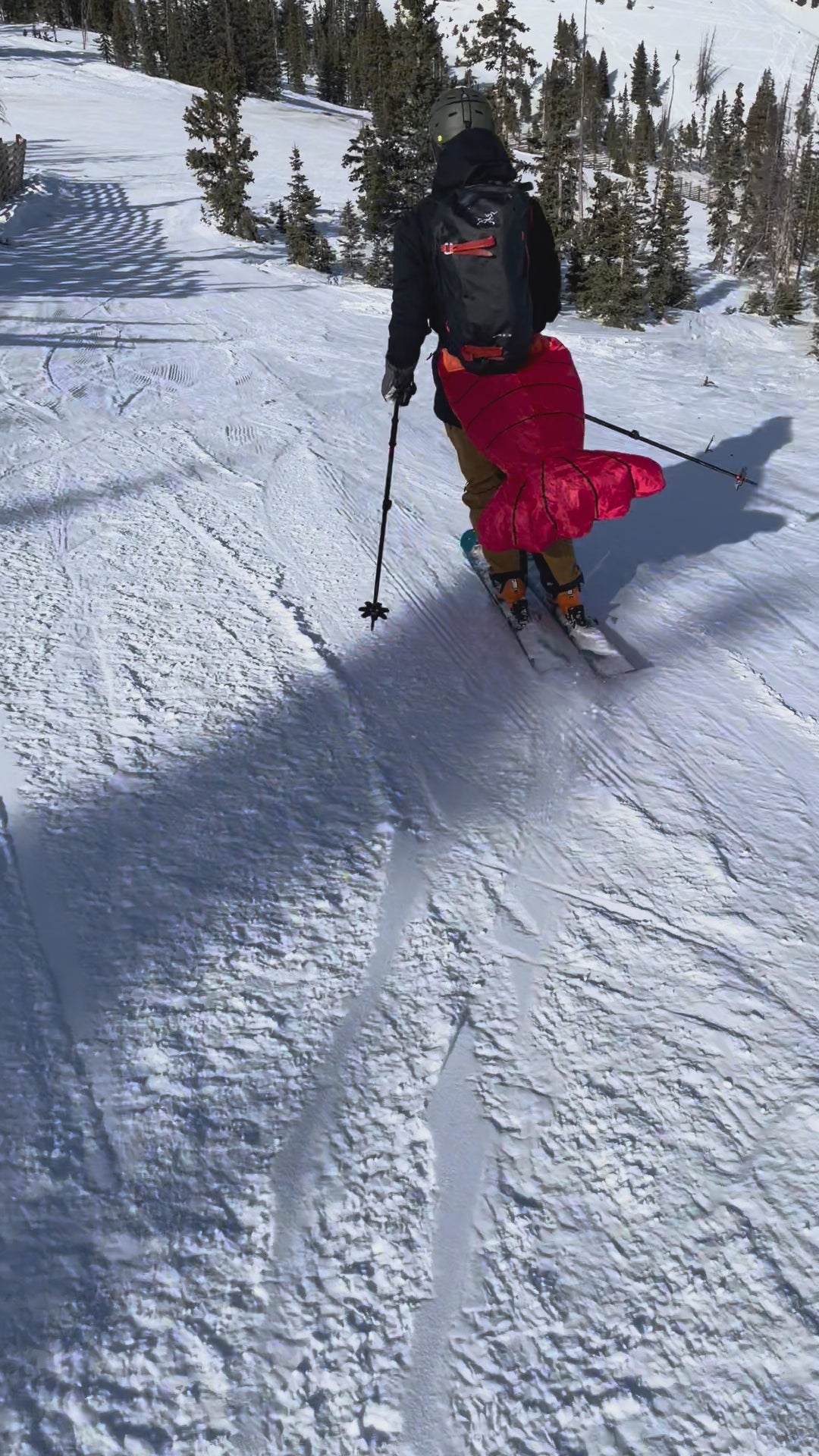 Rock Lobster Ski Tail